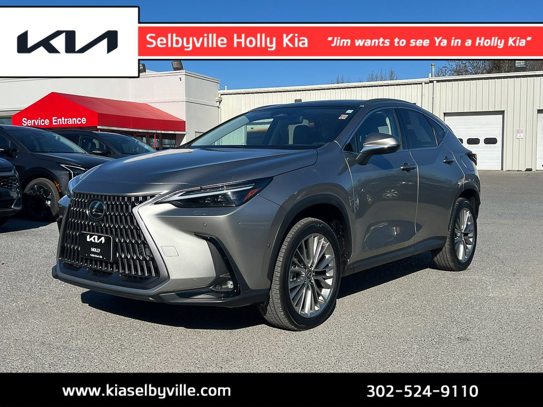 2024 Lexus NX Hybrid 350h's photo