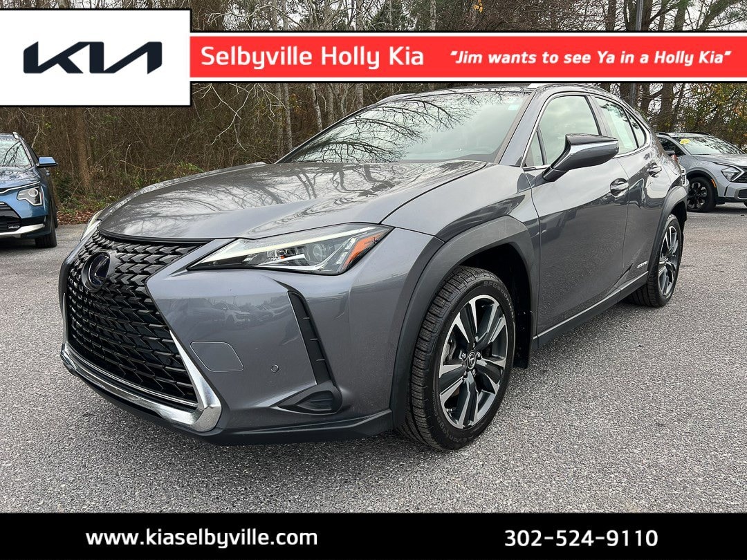 2020 Lexus UX Hybrid 250h's photo