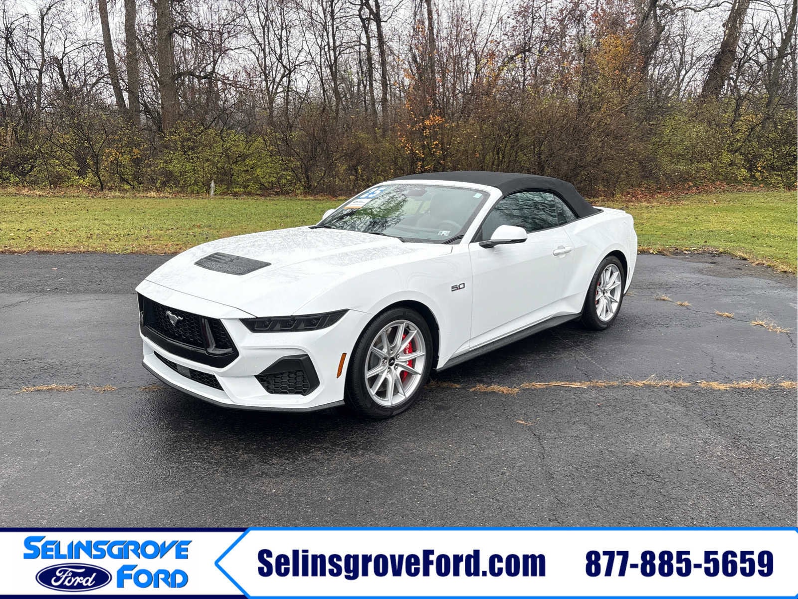 2025 Ford Mustang GT Premium's photo