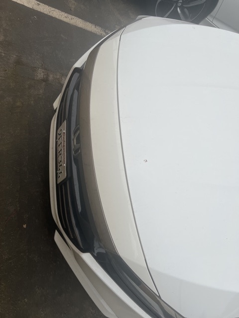 2022 Honda Accord Sport SE's photo