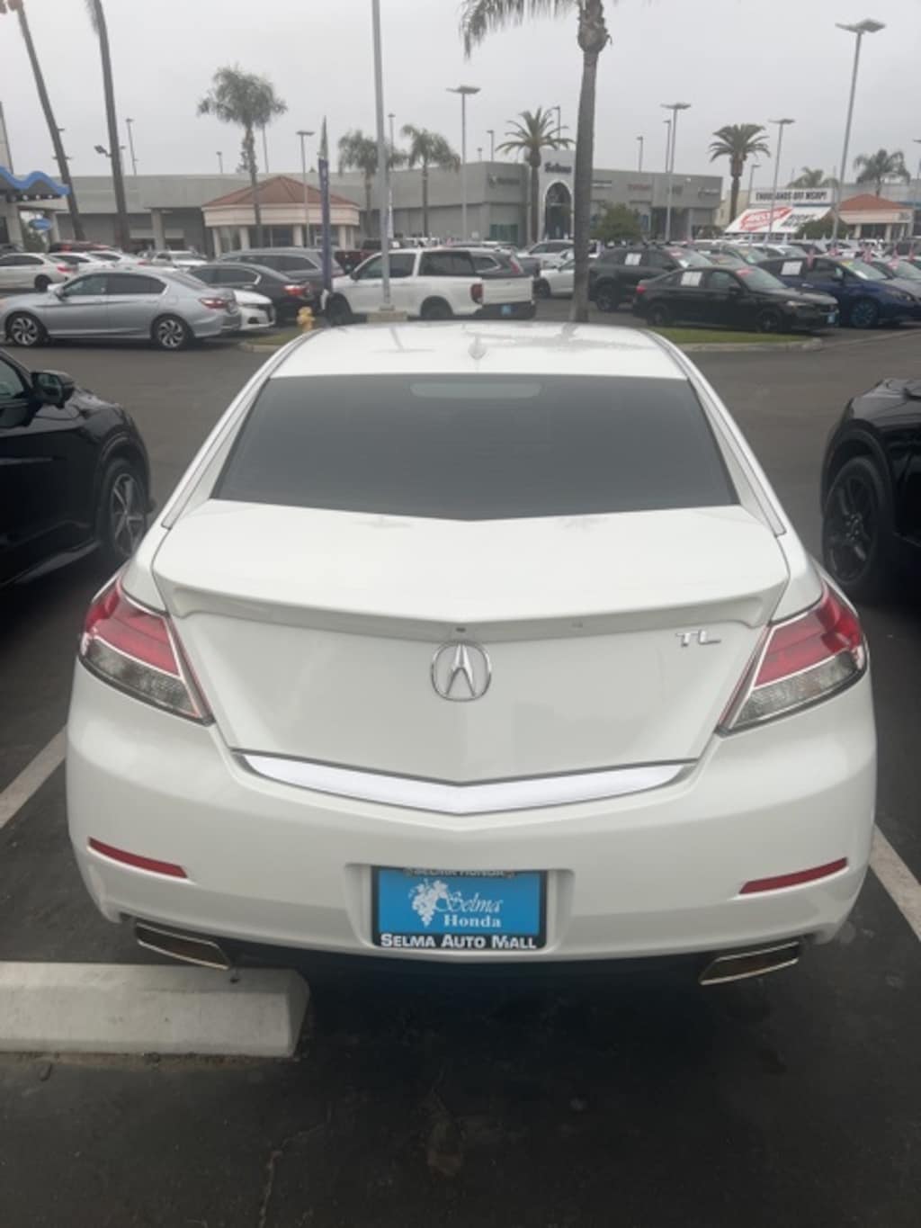 Used 2013 Acura TL 3.5 w/Technology Package (A6) Sedan