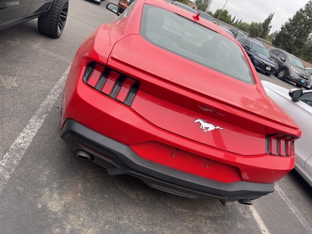 2024 Ford Mustang EcoBoost Premium photo 4