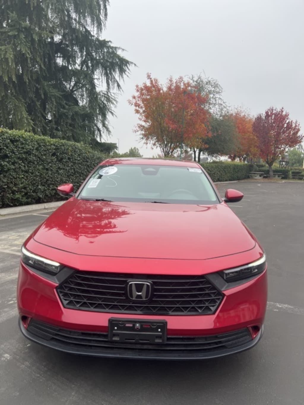 Certified 2024 Honda Accord EX Sedan