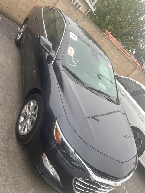 2023 Chevrolet Malibu 1LT's photo