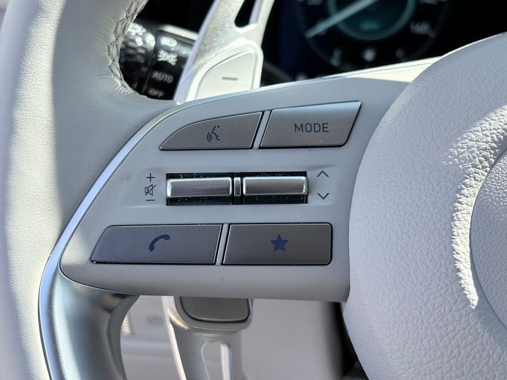 2023 Hyundai Palisade Limited - Photo 13