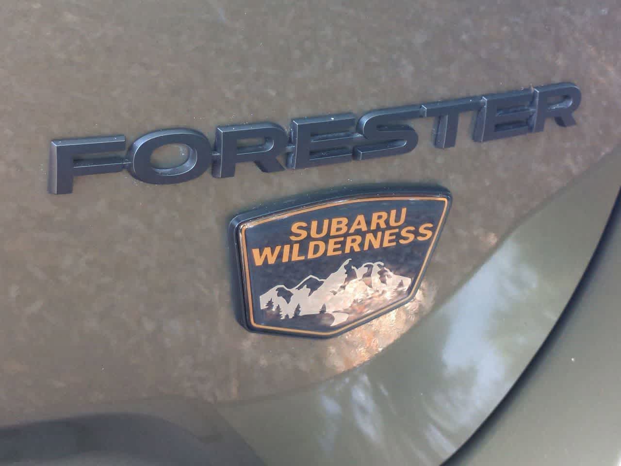 Thumbnail: 2023 Subaru Forester - 13