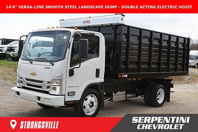 2025 Chevrolet Low Cab Forward's photo