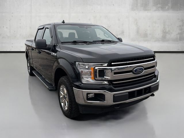 2020 Ford F-150 XL photo 3