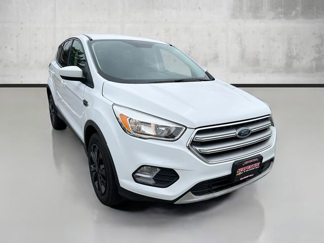 2019 Ford Escape SE photo 3