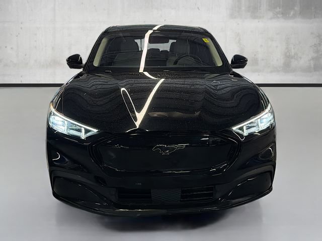 Used 2021 Ford Mustang Mach-E Premium AWD with VIN 3FMTK3SU2MMA00217 for sale in Willoughby Hills, OH