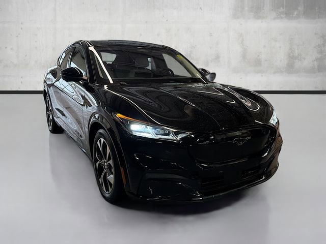 2021 Ford Mustang Mach-E Premium photo 3