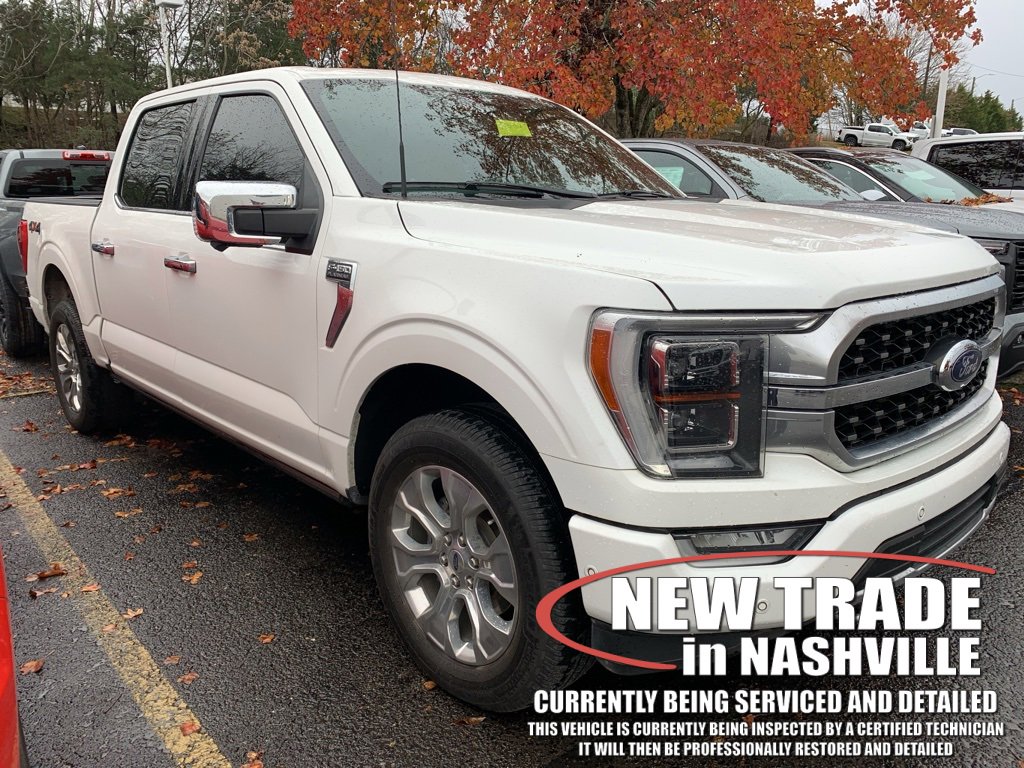 2022 Ford F-150 Platinum's photo
