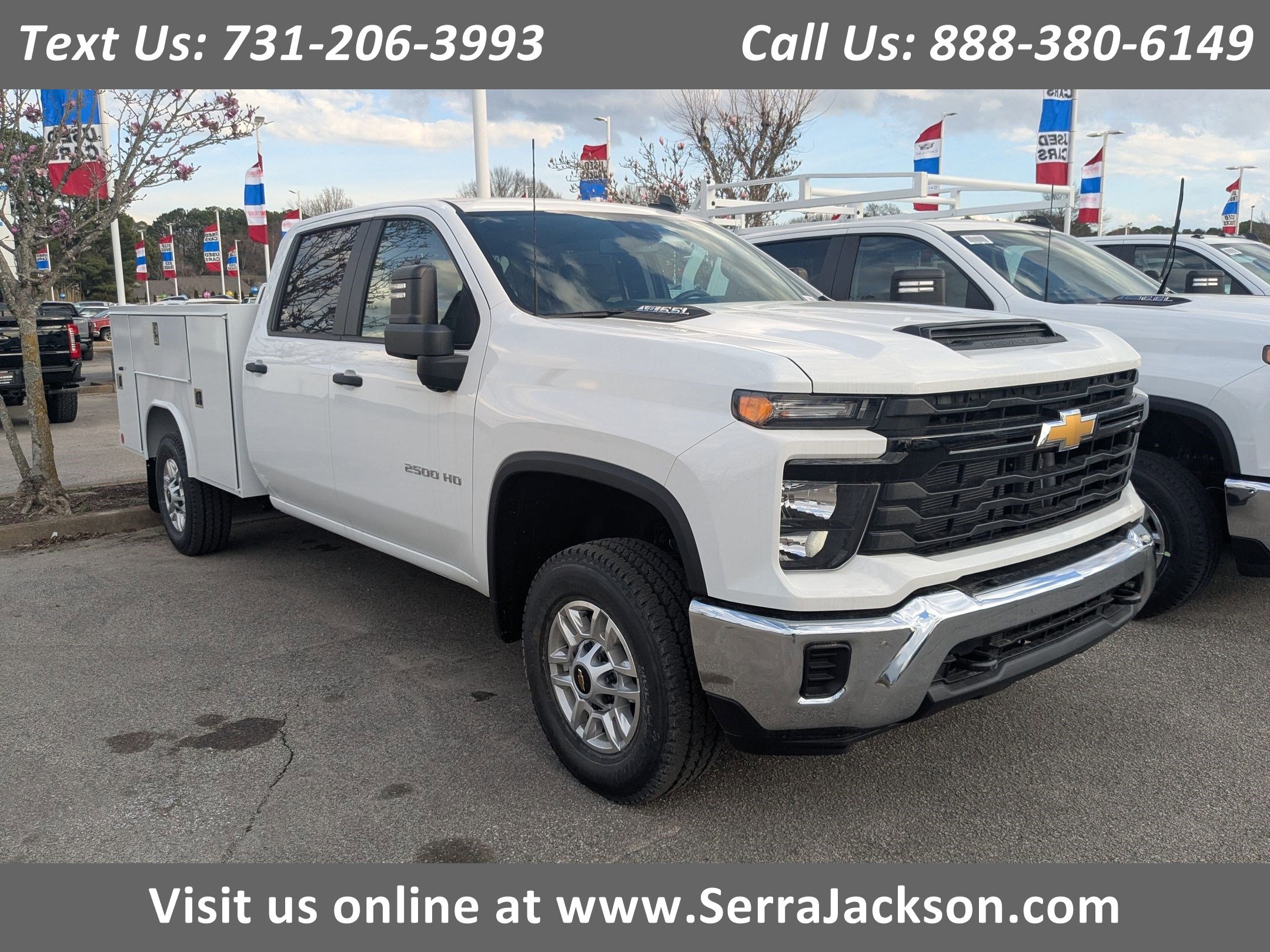 D0cf1e9bcebef2d03499a6968290de7dx