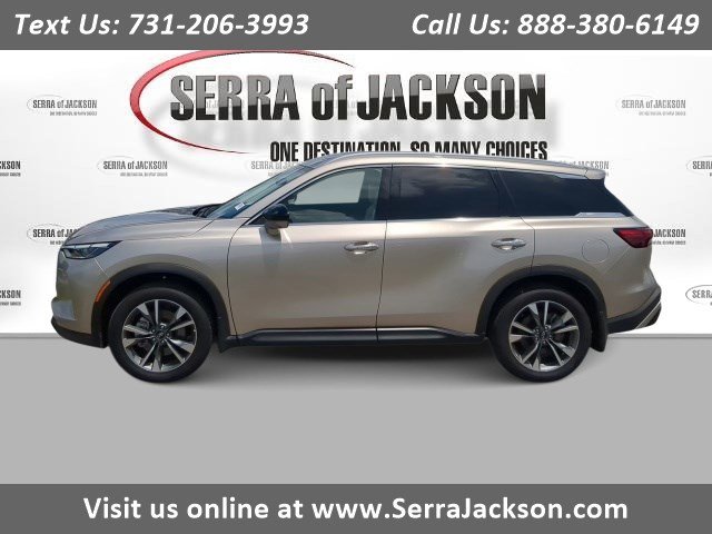 2025 INFINITI QX60 LUXE's photo
