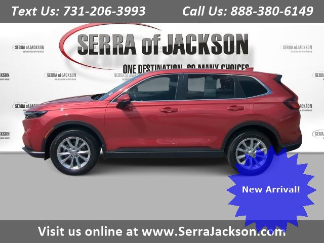 A48e48abce654843c5d0e73e52c7c8ecx