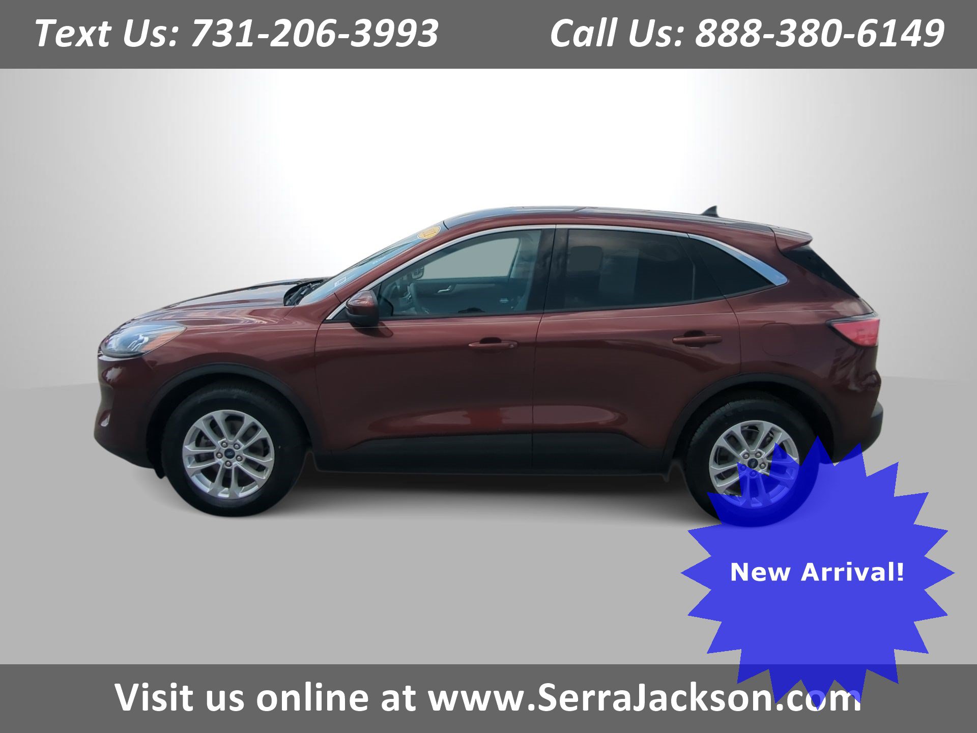 2021 Ford Escape SE AWD's photo