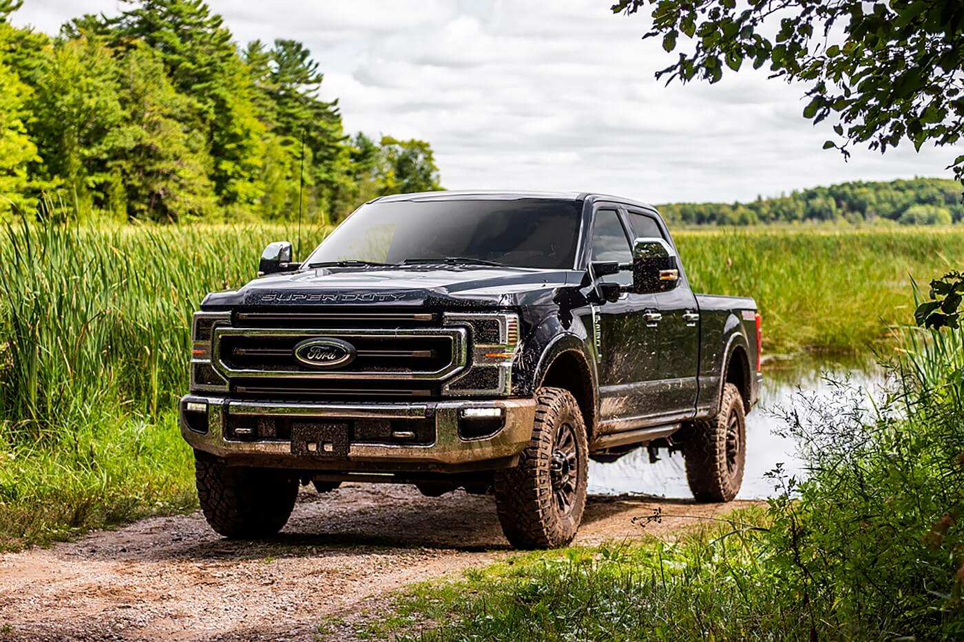 Ford Dealer near Royal Oak MI