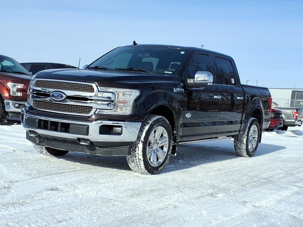 2020 Ford F-150 King Ranch's photo