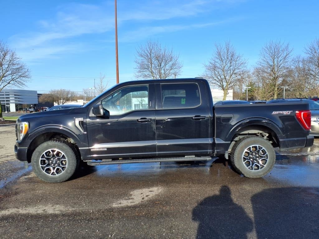 Certified 2023 Ford F-150 XLT with VIN 1FTFW1ED1PFC87107 for sale in Farmington, MI