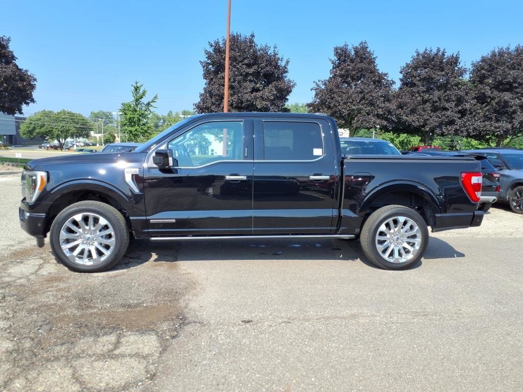 2023 Ford F-150 XLT photo 2