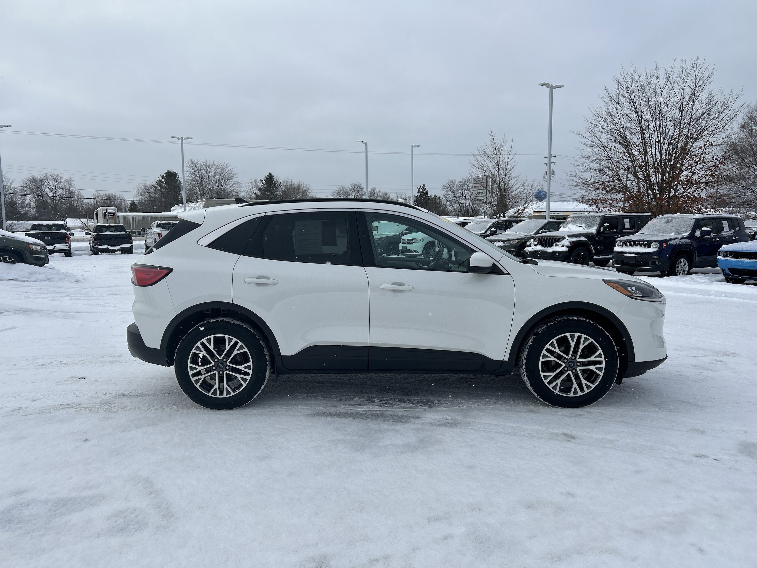 Used 2020 Ford Escape SEL with VIN 1FMCU9H99LUB65515 for sale in Kalkaska, MI