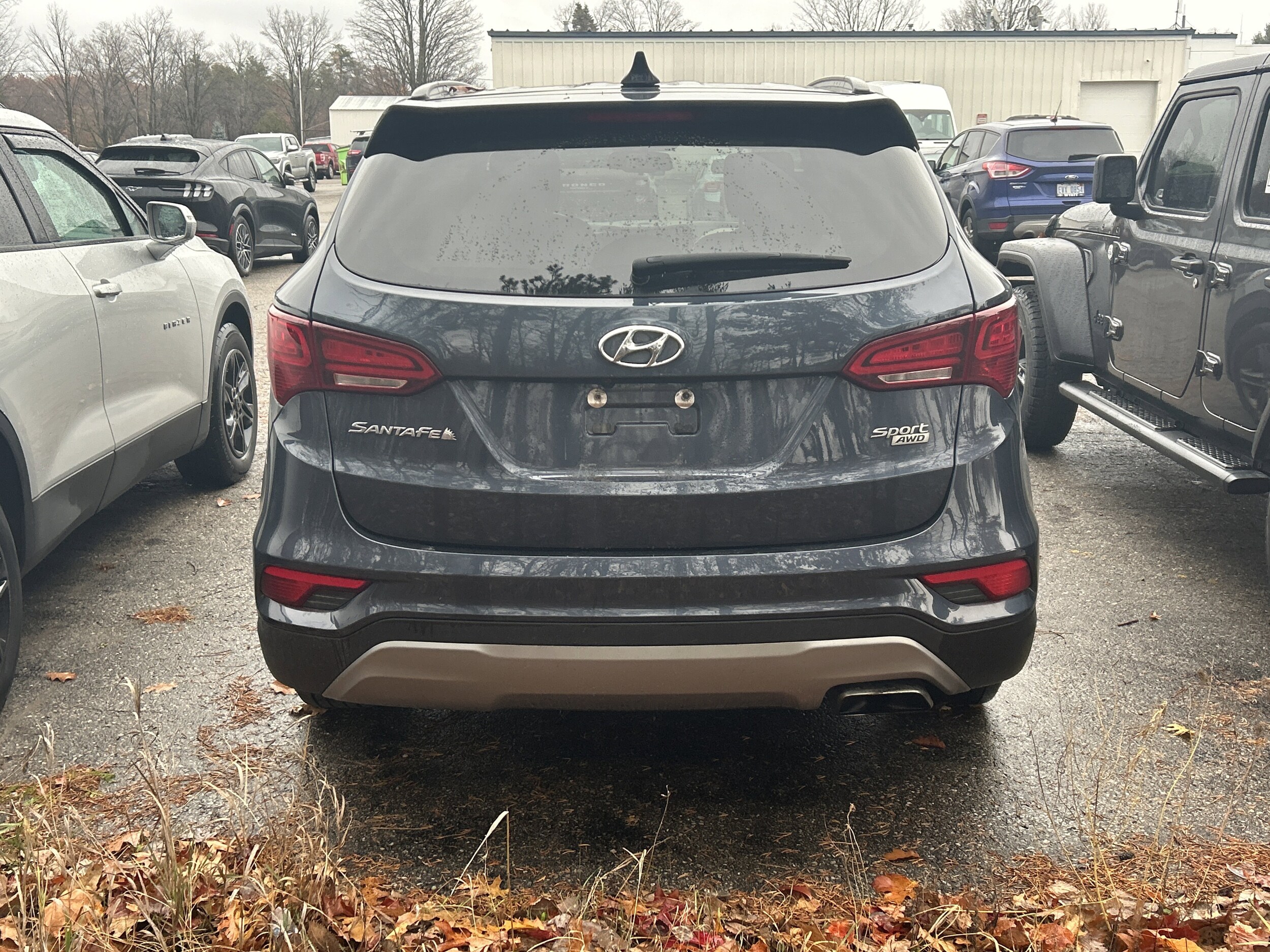 2017 Hyundai Santa Fe Sport photo 2