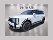  Kia Telluride Hybrid