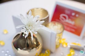 Oasis For Girls Shine Event