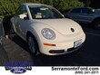  Volkswagen New Beetle