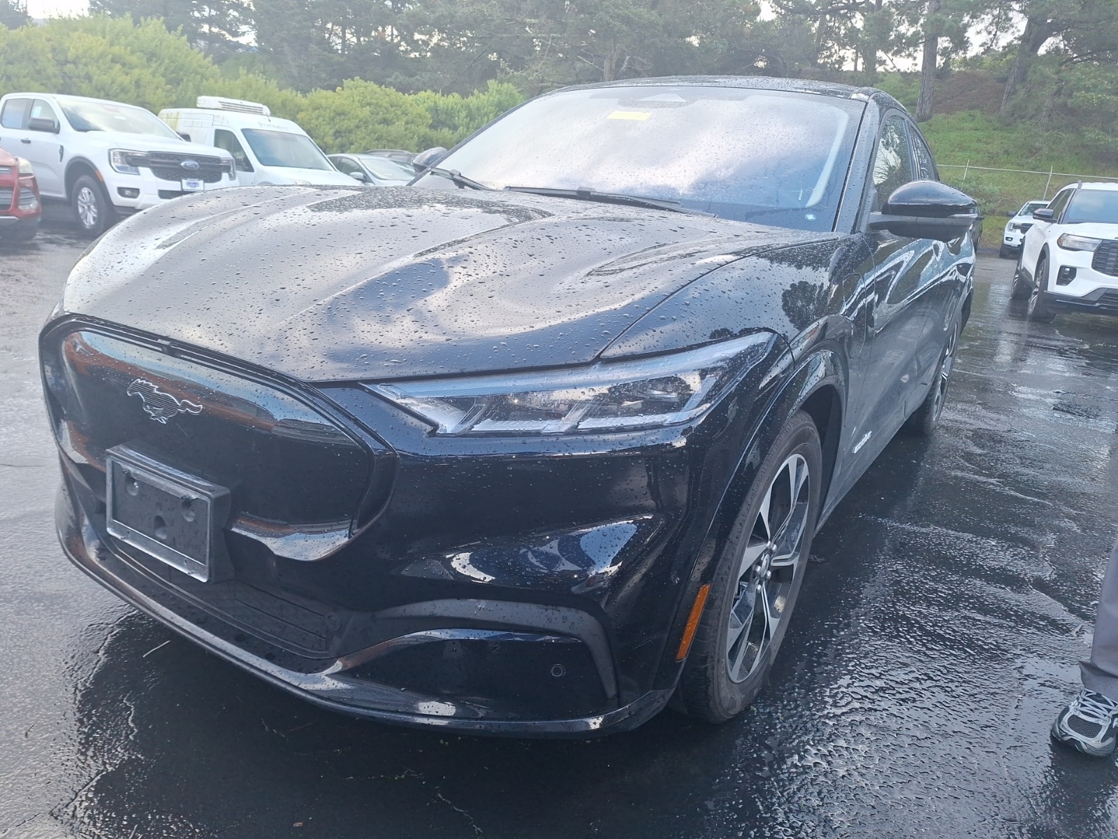 Used 2023 Ford Mustang Mach-E Premium RWD with VIN 3FMTK3RM6PMA02191 for sale in Colma, CA