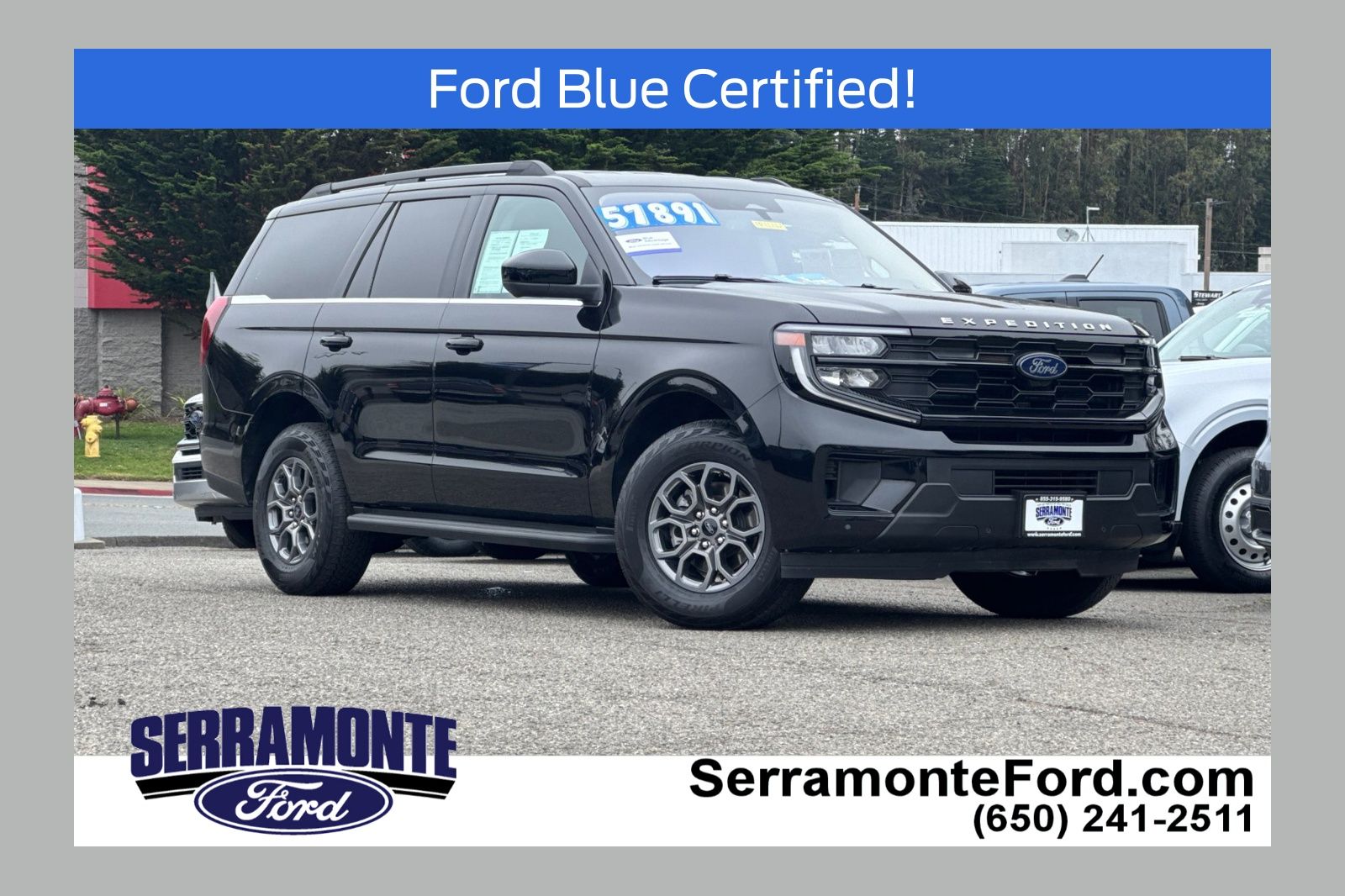2025 Ford Expedition Active 4x4's photo
