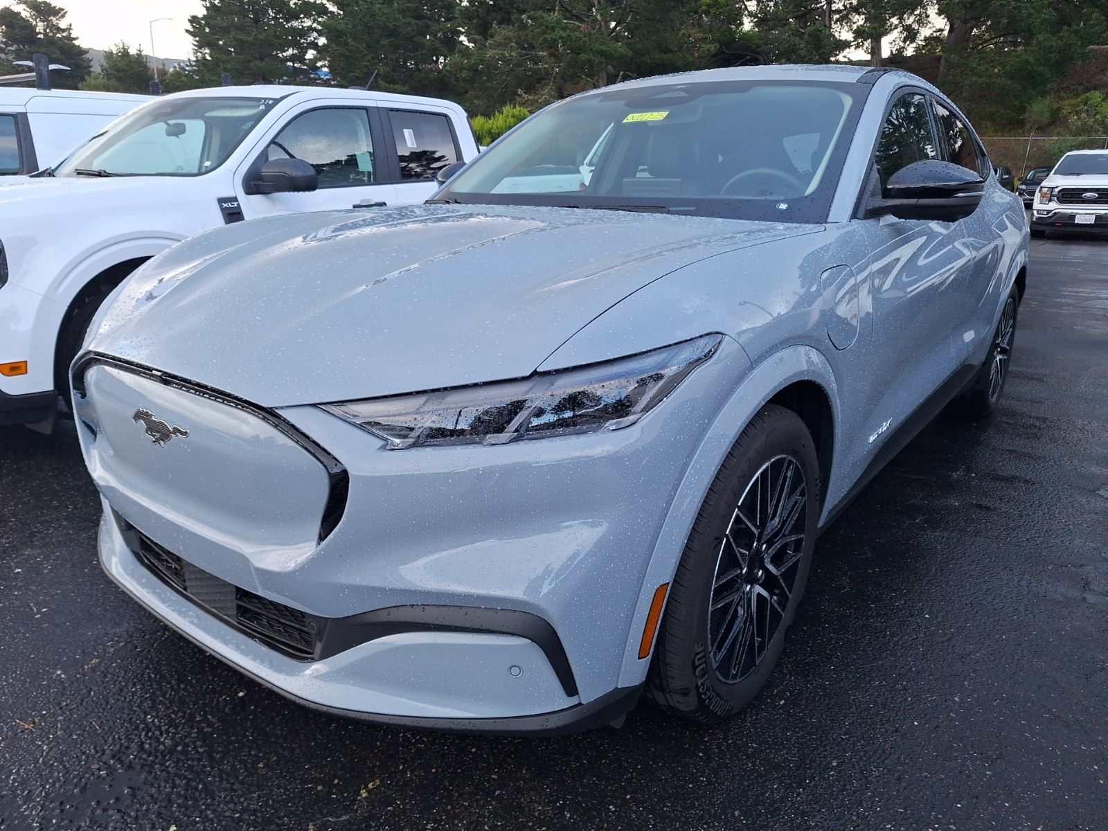 2025 Ford Mustang Mach-E Premium photo 3