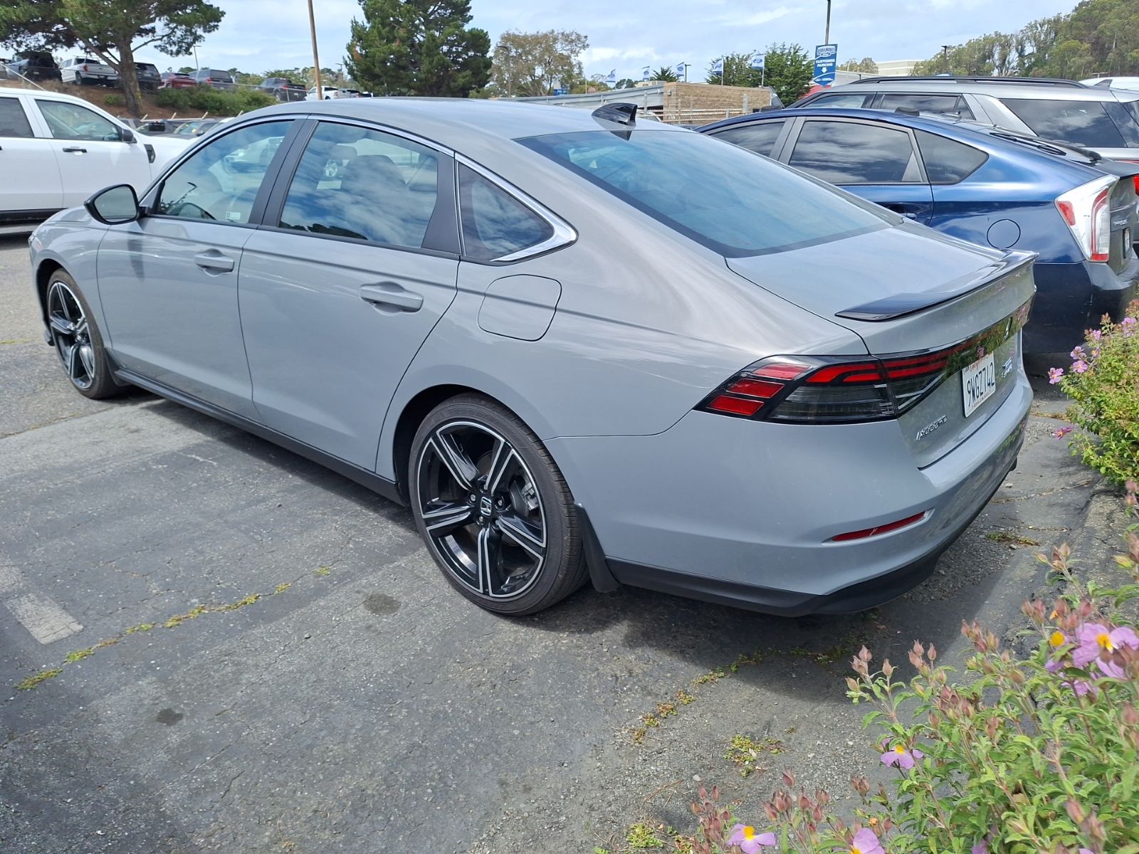2025 Honda Accord Hybrid Sport photo 4