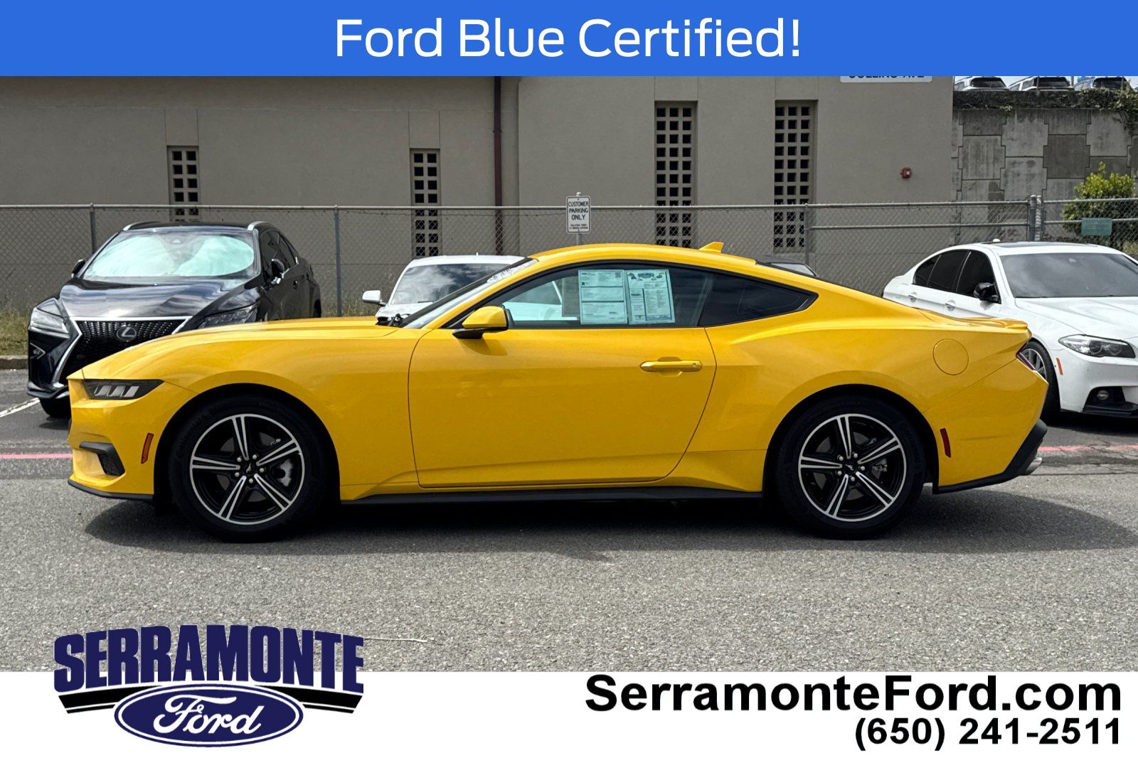 2024 Ford Mustang Ecoboost Premium photo 3