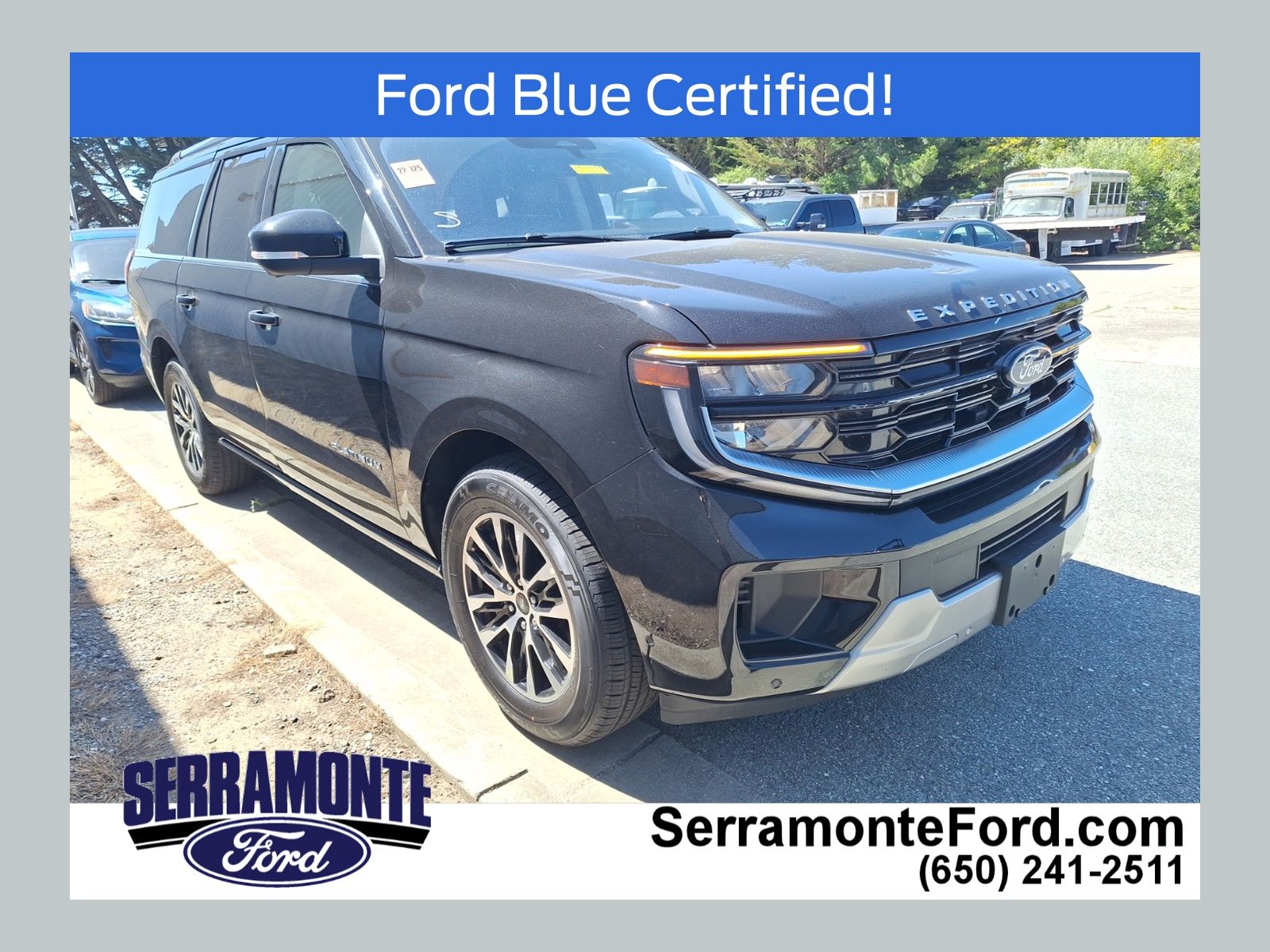 2025 Ford Expedition Platinum MAX 4x4's photo