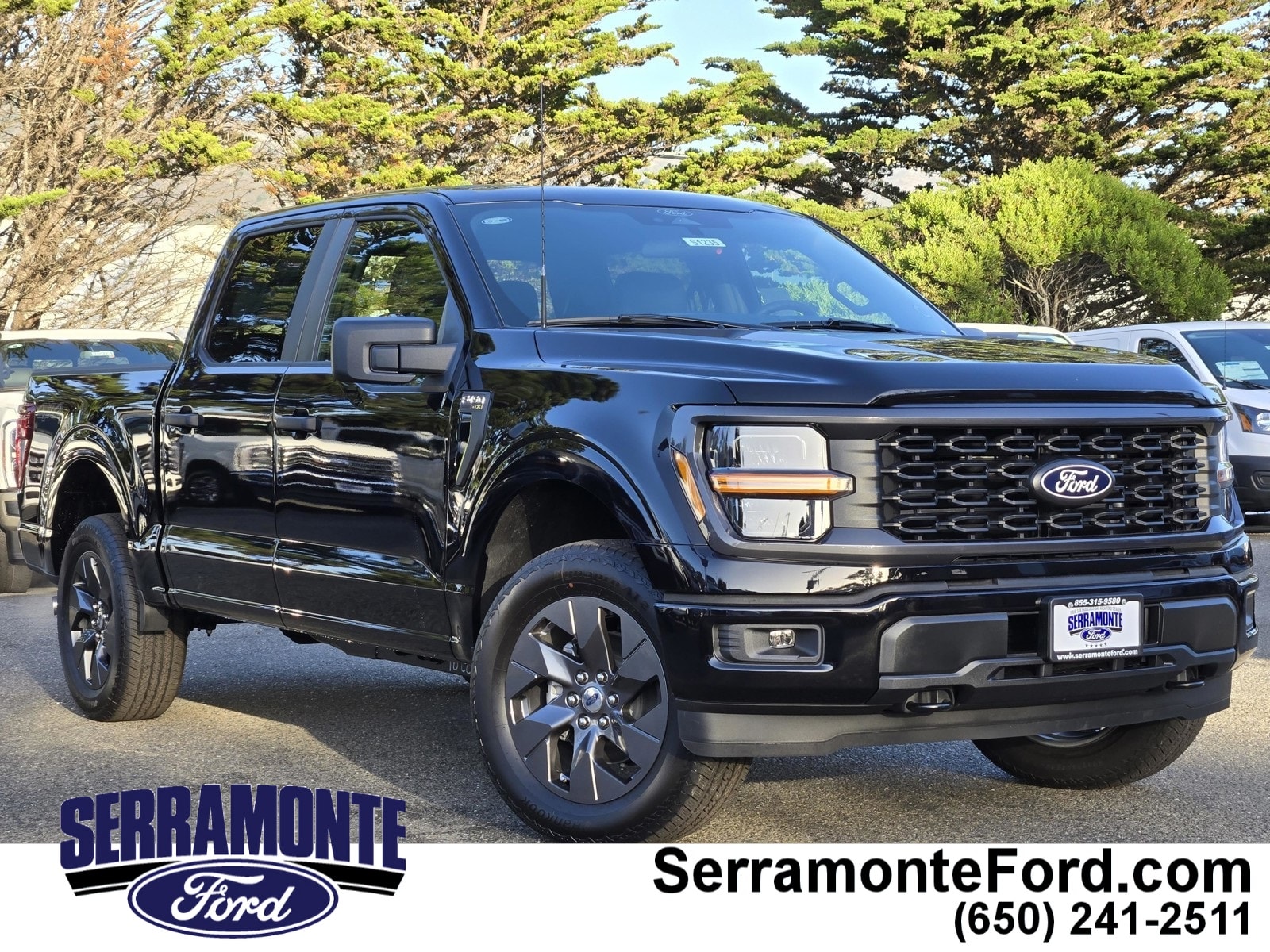2025 Ford F-150 STX's photo