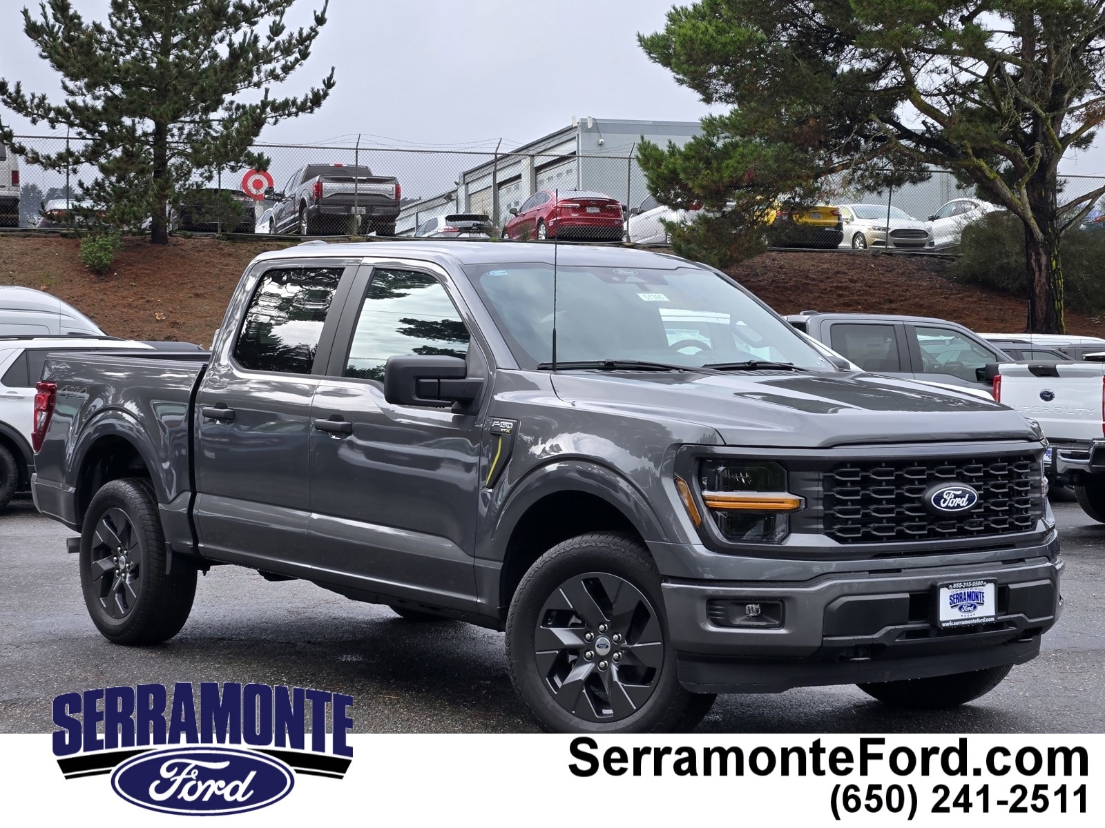 2025 Ford F-150 STX's photo
