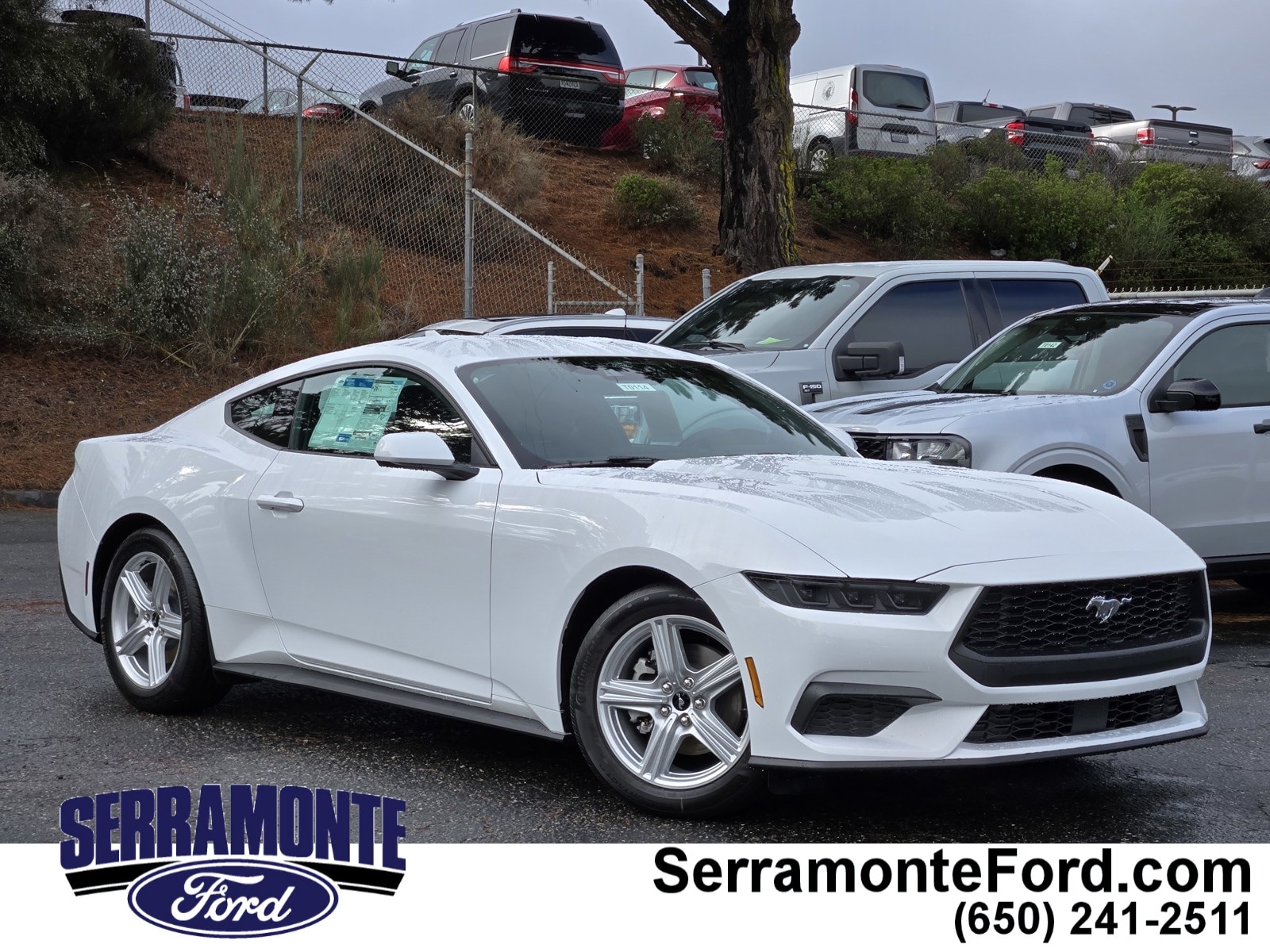 2026 Ford Mustang EcoBoost's photo