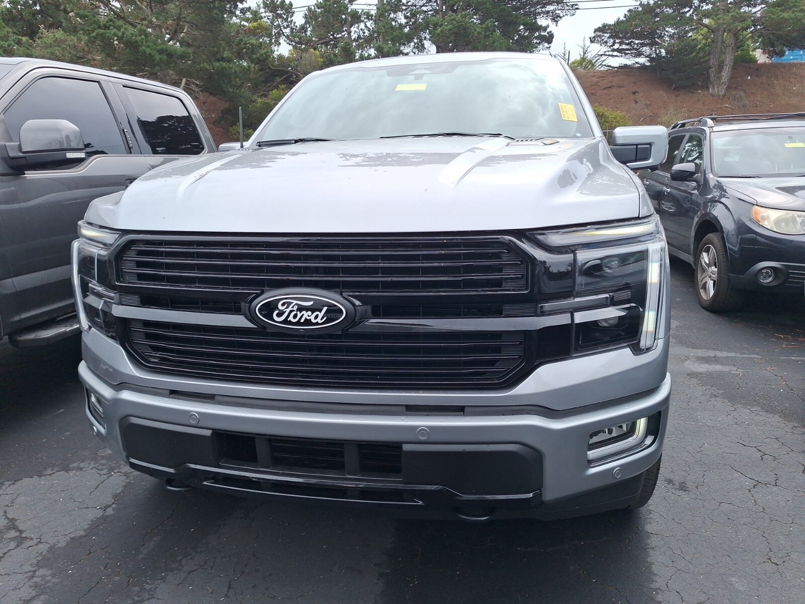 2025 Ford F-150 Platinum photo 2