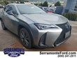  LEXUS UX 250h