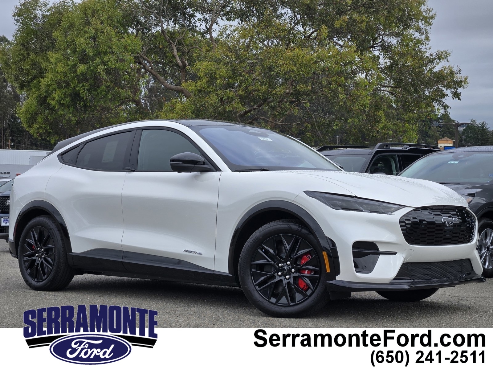 2025 Ford Mustang Mach-E Premium AWD's photo