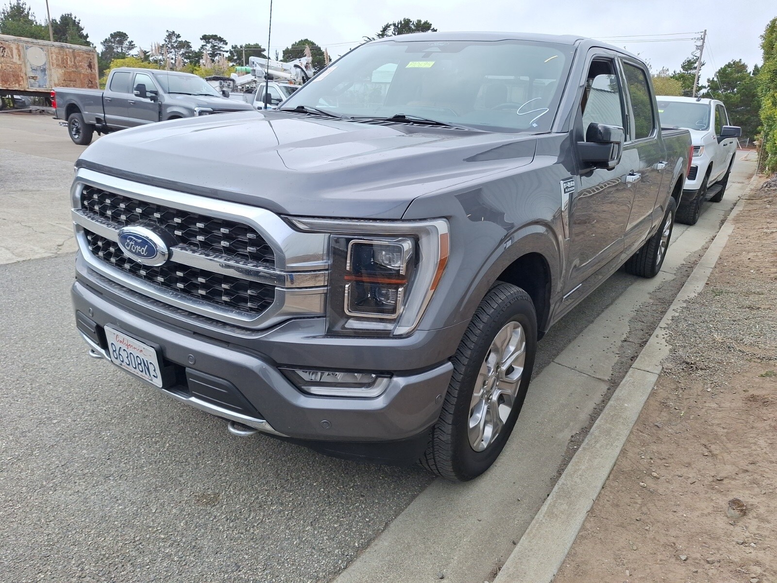 2022 Ford F-150 Platinum photo 2