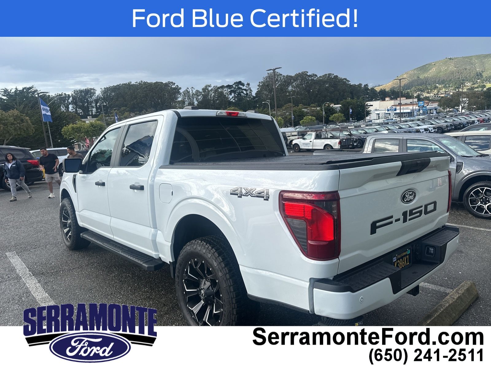2024 Ford F-150 STX photo 4