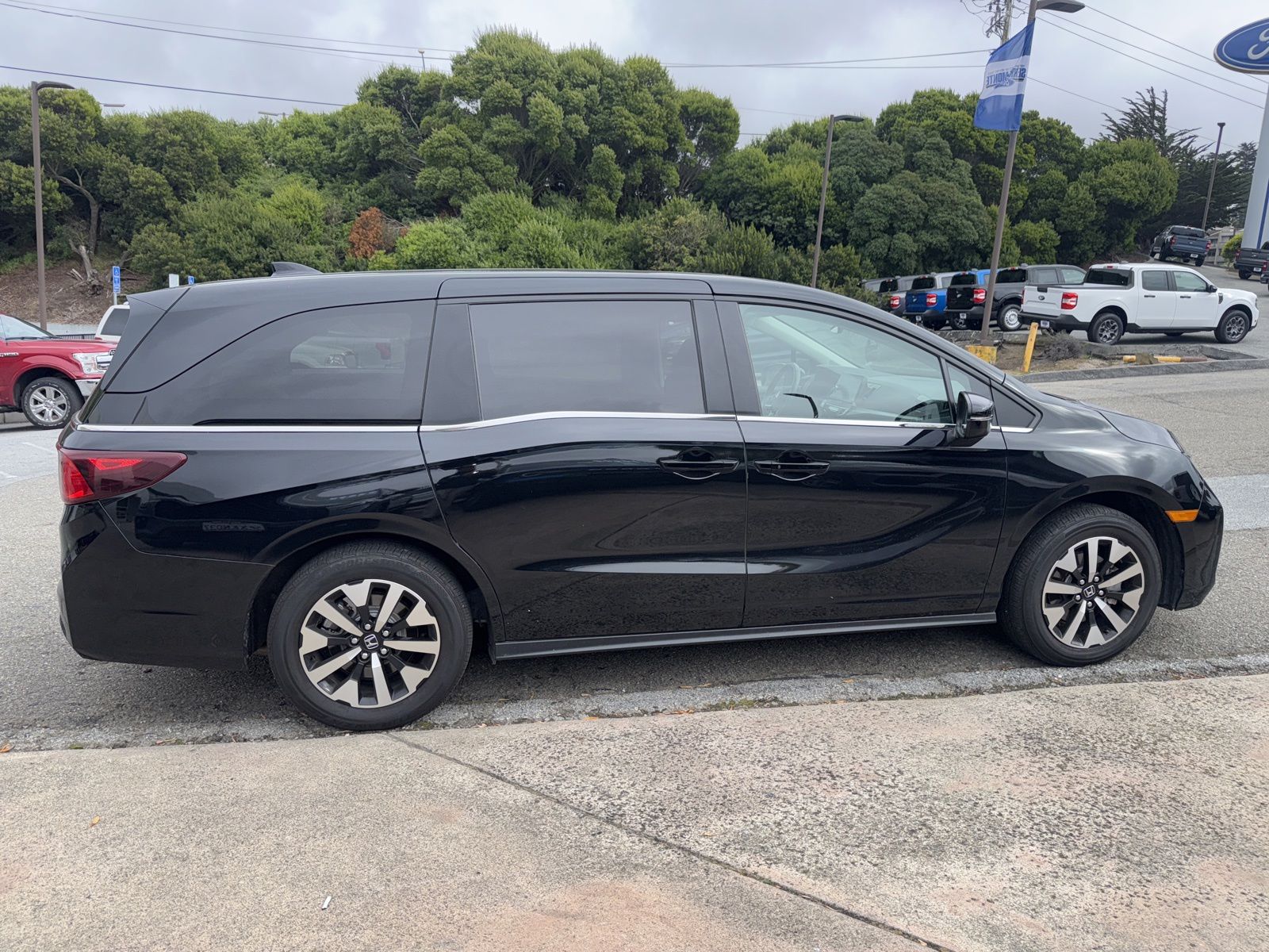 2025 Honda Odyssey EX-L /8 Passenger Seats photo 6