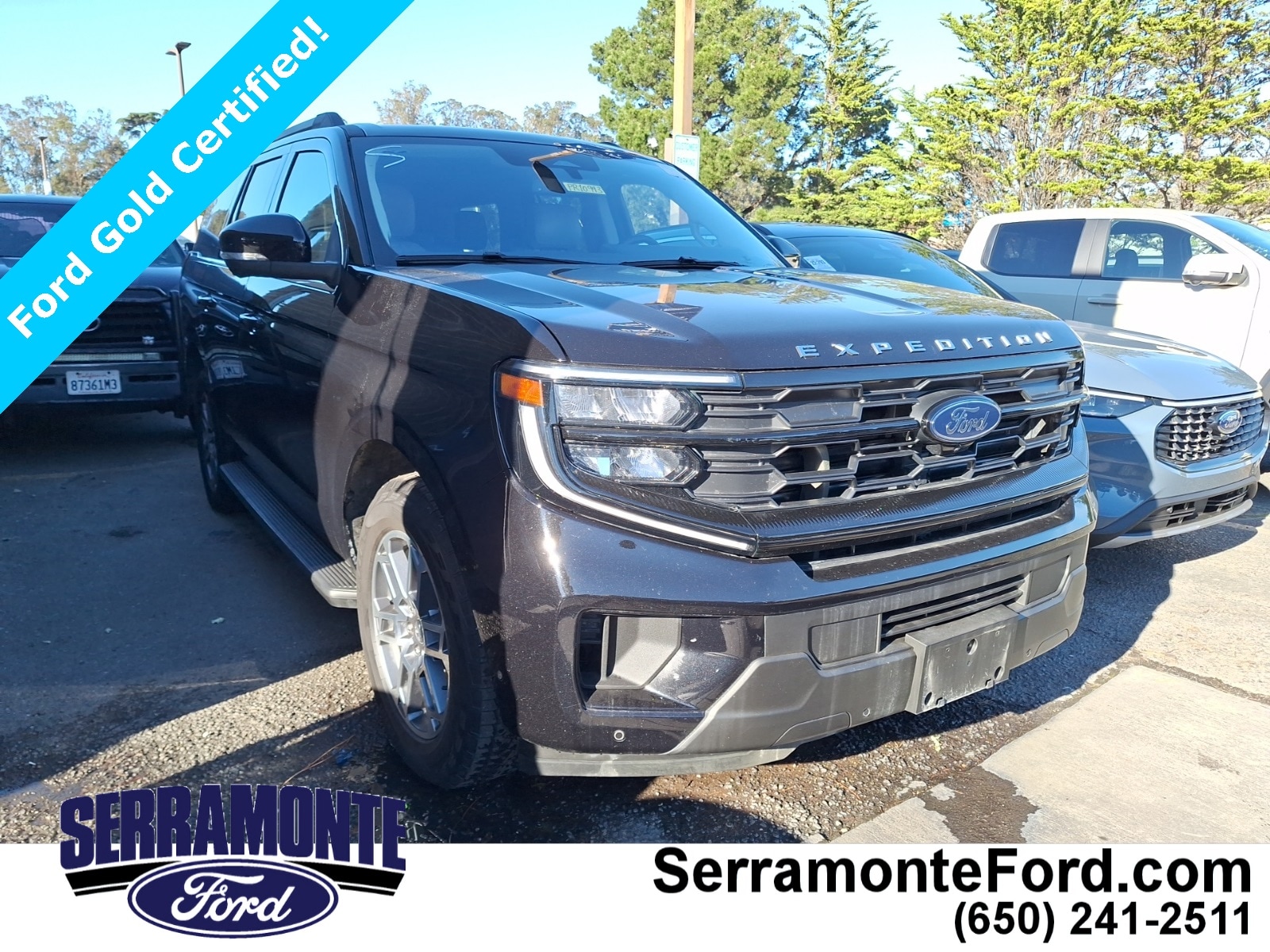 2025 Ford Expedition Active's photo