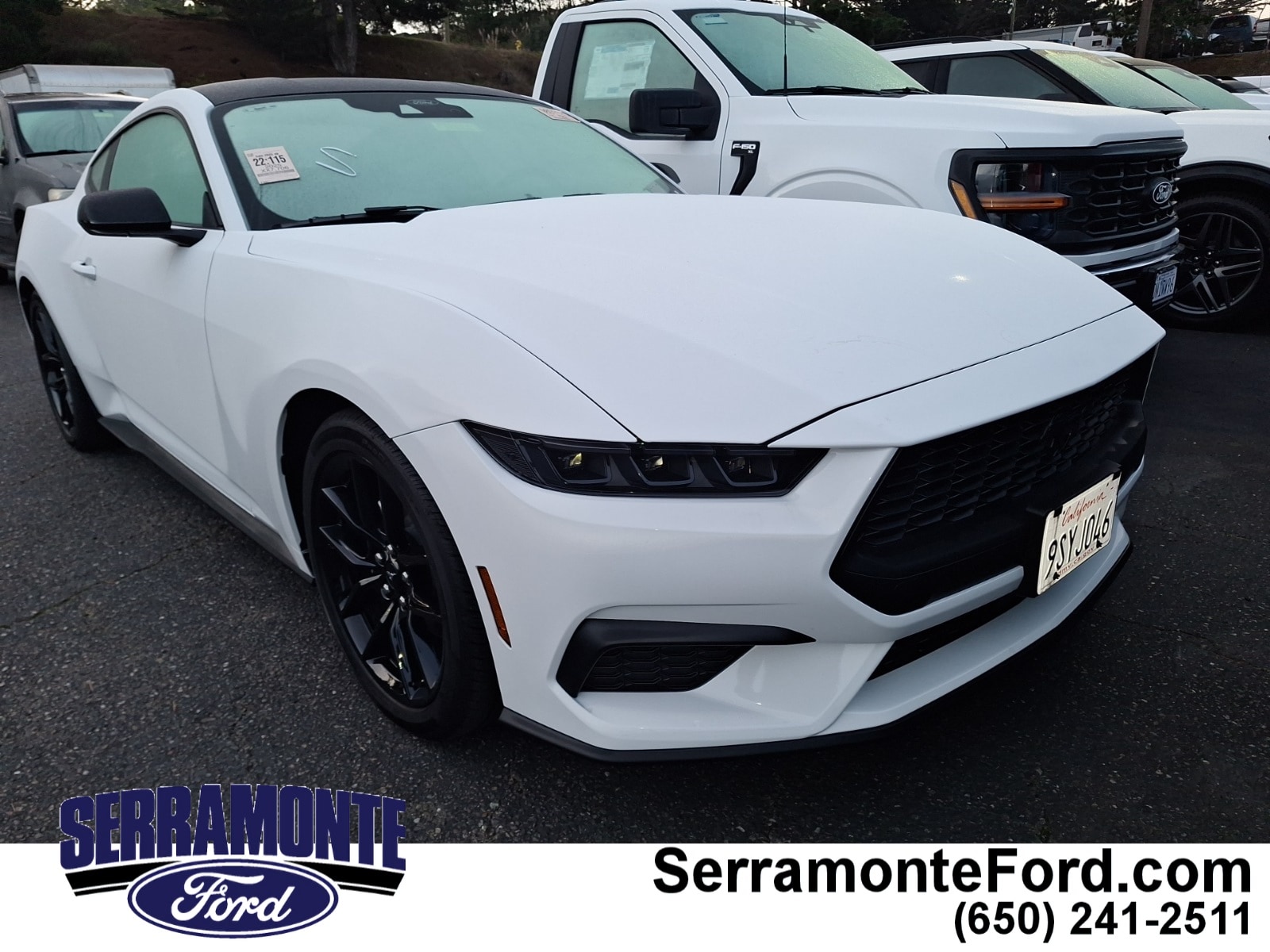 2025 Ford Mustang EcoBoost's photo