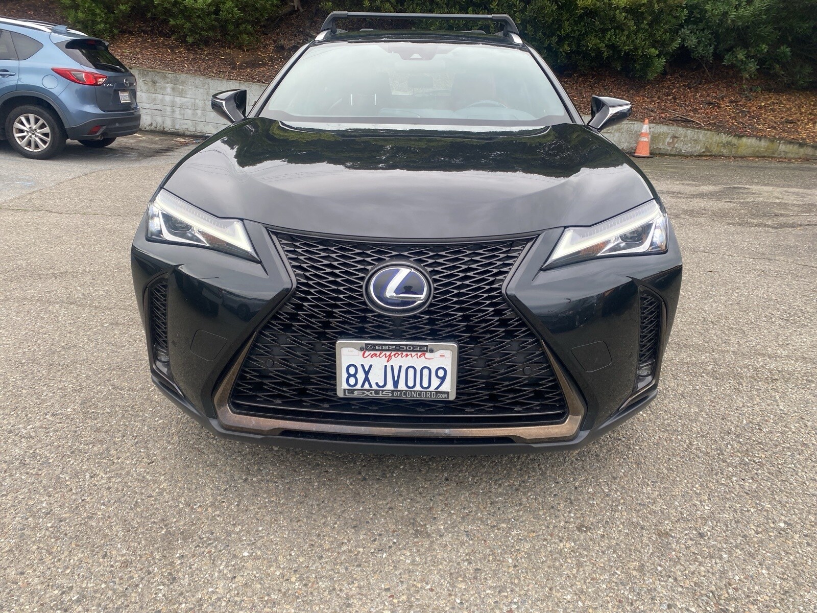 2021 Lexus UX 250h F SPORT photo 2