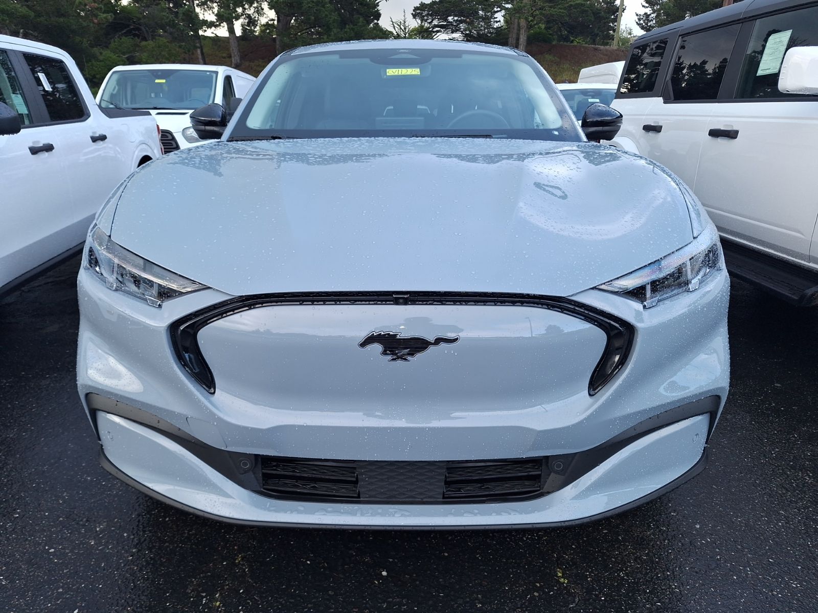 2025 Ford Mustang Mach-E Premium photo 2