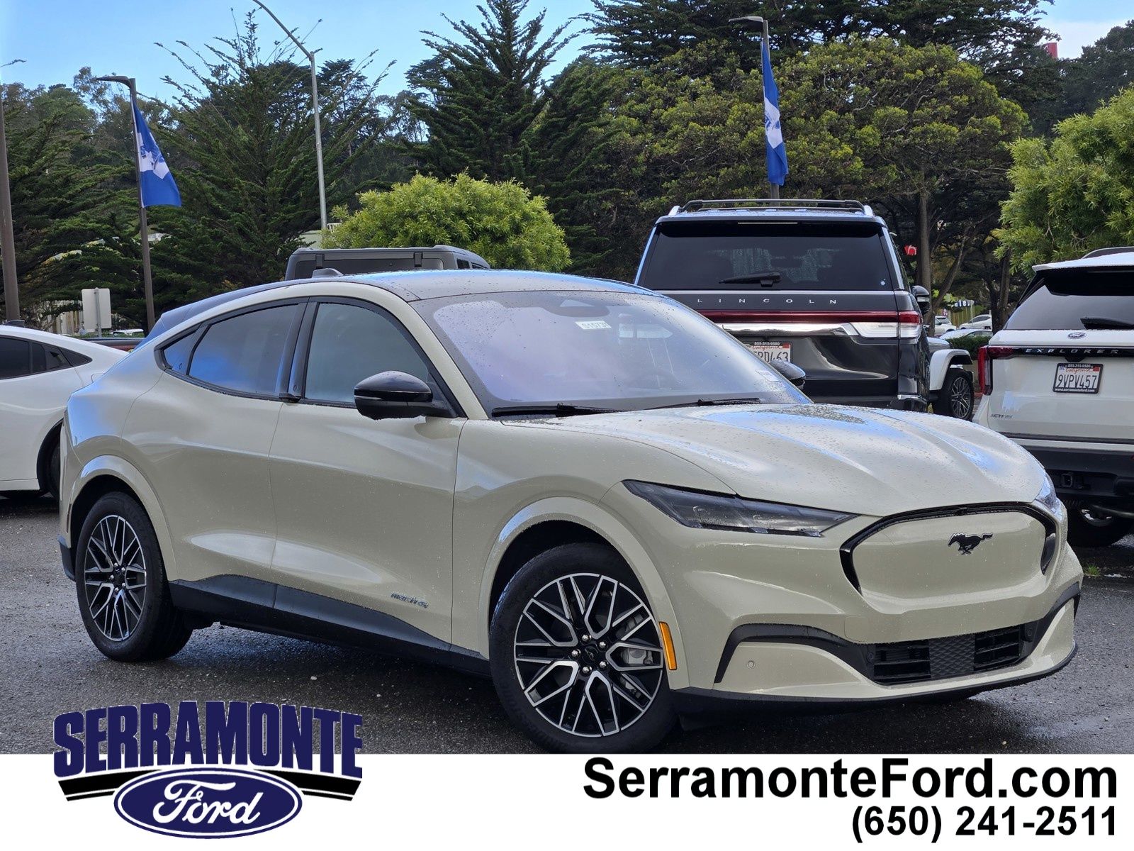 2025 Ford Mustang-Mach-e Premium's photo