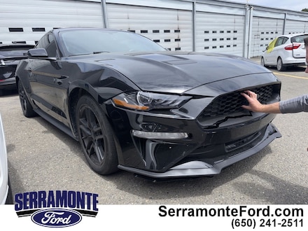 2019 Ford Mustang Ecoboost Coupe 1FA6P8TH3K5169558